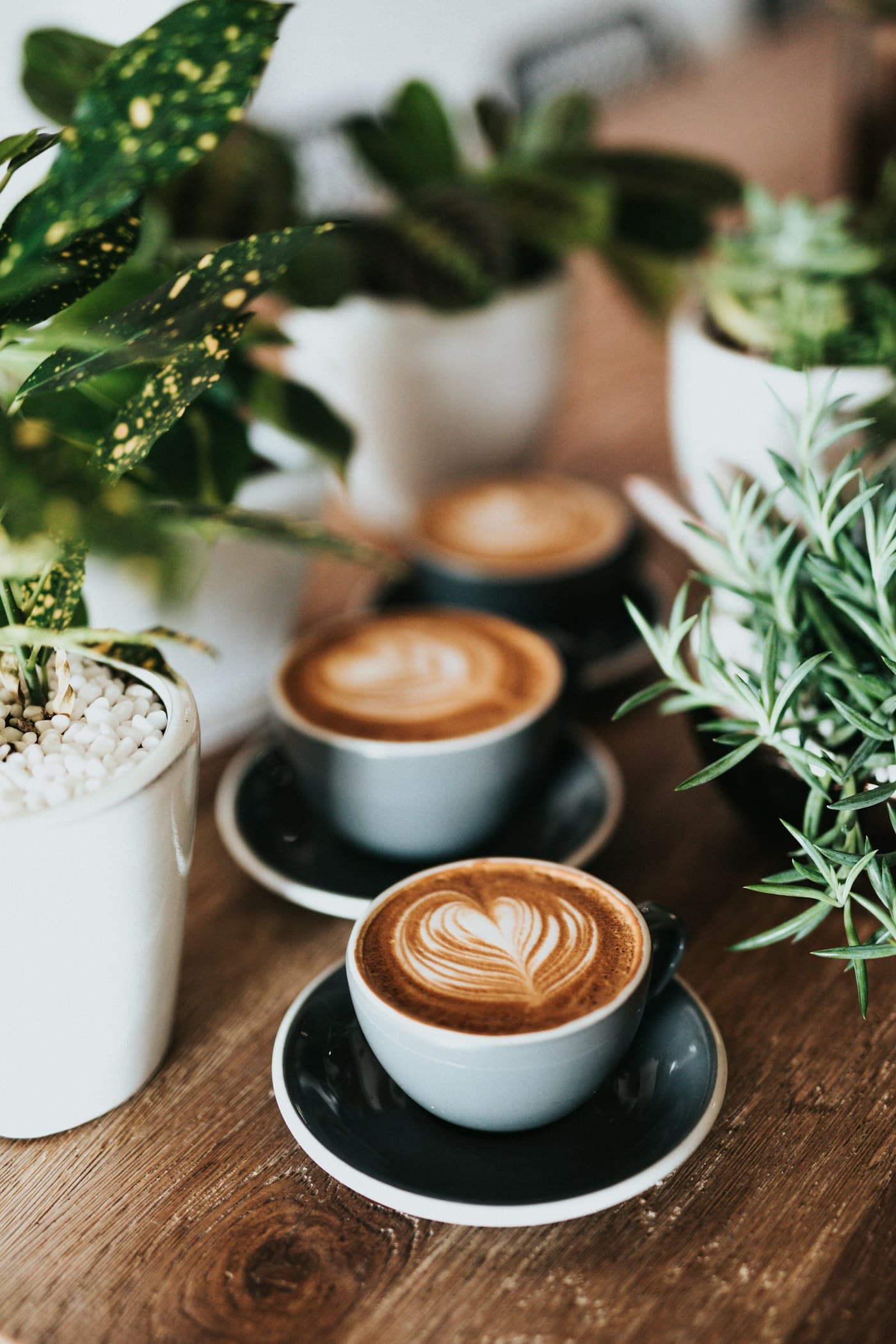 Café des Amis