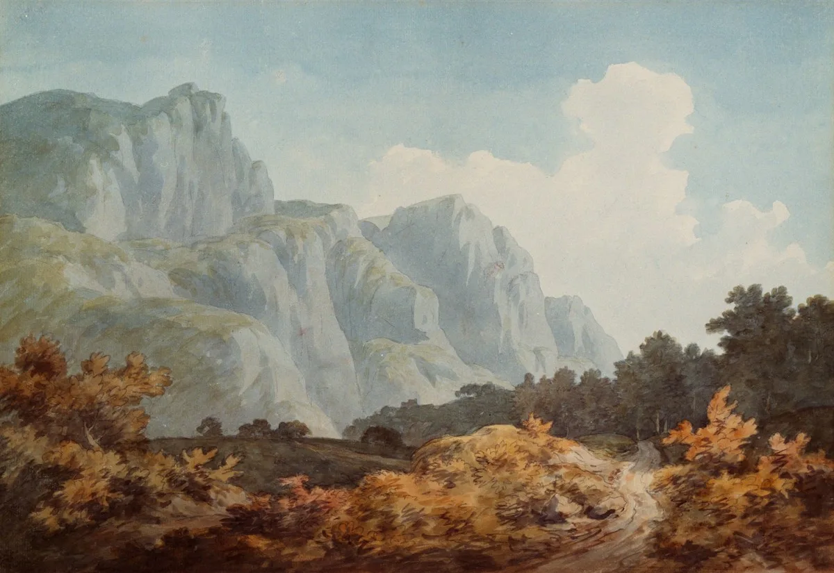 Rizières, matin